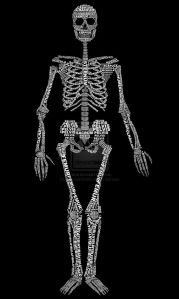 bones-identified